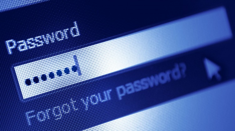 forgot password